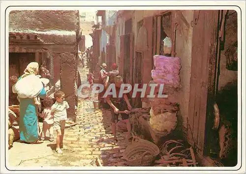 Cartes postales moderne Fes teinturiers