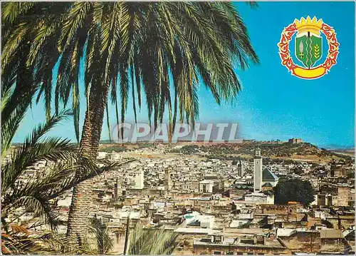 Cartes postales moderne Fes panorama de la ville ancienne