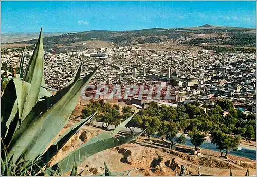 Cartes postales moderne Fes vue generale