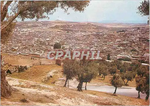 Cartes postales moderne Fes vue generale