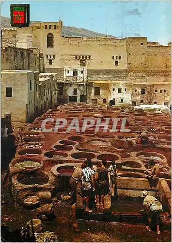 Cartes postales moderne Fes teinturiers