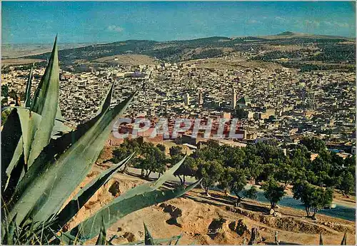 Cartes postales moderne Fes vue generale