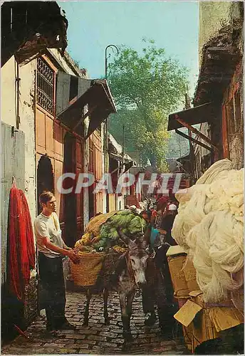Cartes postales moderne Fes marche des teinturiers de laine Ane Donkey