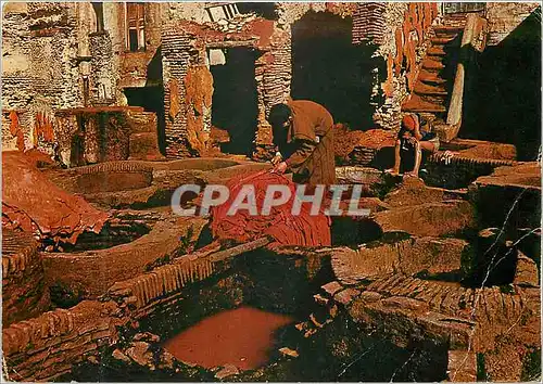 Cartes postales moderne Fes les tanneurs