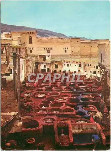 Cartes postales moderne Fes les tanneurs
