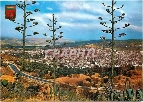 Cartes postales moderne Fes vue generale