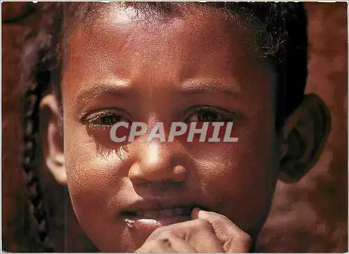 Cartes postales moderne Zagora (maroc)