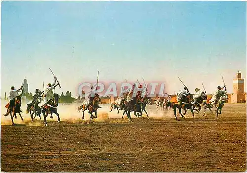 Cartes postales moderne la fantasia Chevaux