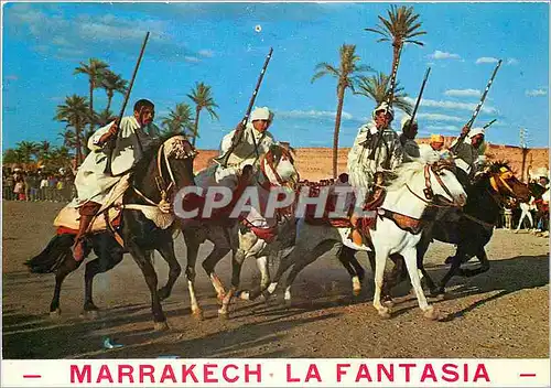 Moderne Karte Maroc pittoresque la fantasia Chevaux