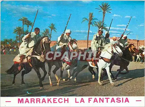 Moderne Karte Maroc typique la fantasia Chevaux