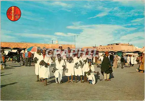 Cartes postales moderne marrakech gnaoues plage diema el fna