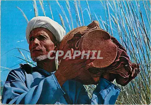 Cartes postales moderne Le maroc en lumicolor