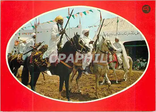 Moderne Karte Maroc typique Chevaux