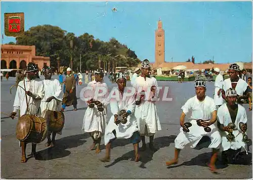 Cartes postales moderne Maroc typique