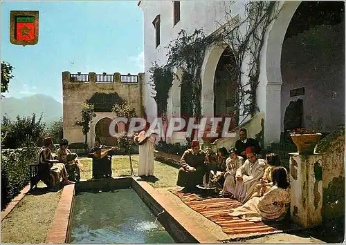 Cartes postales moderne Maroc typique l'heure du the