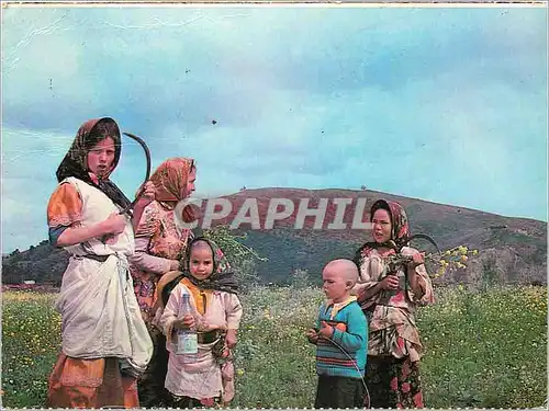 Cartes postales moderne Maroc typique sud marocain