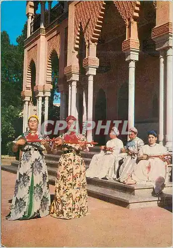 Cartes postales moderne Maroc danseuse et musiciennes berberes