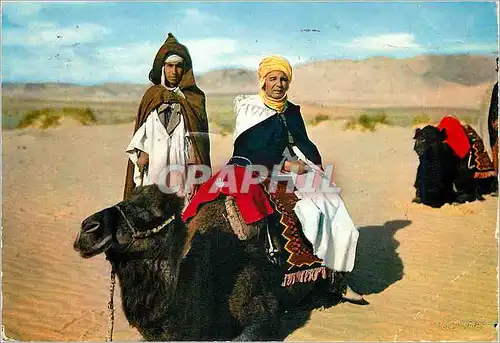 Cartes postales moderne Scenes et types du maroc chameliers dans le sud