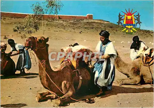 Cartes postales moderne Jeff casablanca