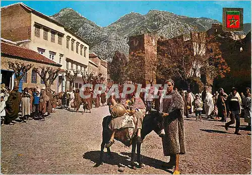Cartes postales moderne Maroc paysan marocani Ane Donkey