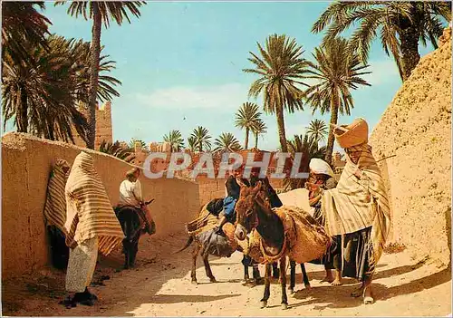 Moderne Karte Scenes et types du maroc Ane Donkey