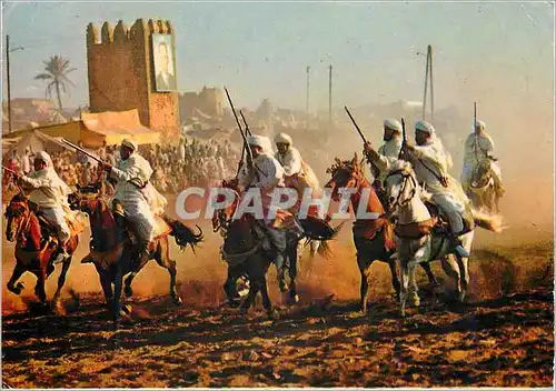 Cartes postales moderne Maroc pittoresque la fantasia