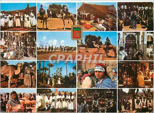 Cartes postales moderne Maroc typique divers aspects Chameau