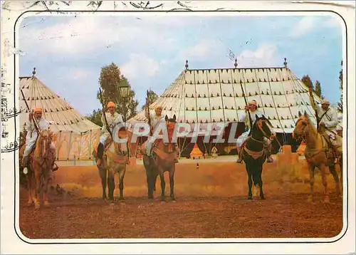 Cartes postales moderne maroc typique