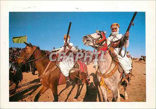 Cartes postales moderne Fantazia au festival de douz