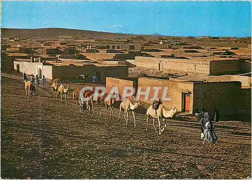 Cartes postales moderne Le maroc pittoresque goulimine au couchant du soleil