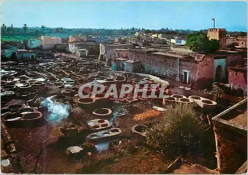 Cartes postales moderne Marrakech (maroc) tintoreros