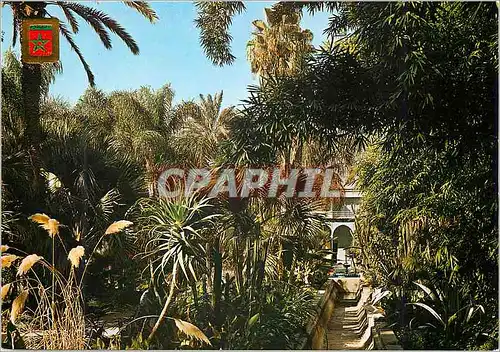 Cartes postales moderne Marrakech jardins