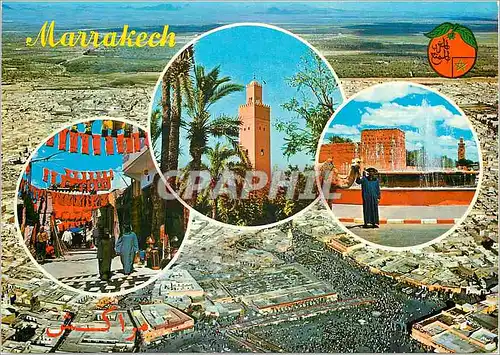 Cartes postales moderne Marrakech