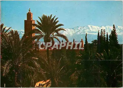 Cartes postales moderne Marrakech koutoubia et grand atlas