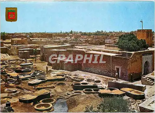 Cartes postales moderne Marrakech teinturiers