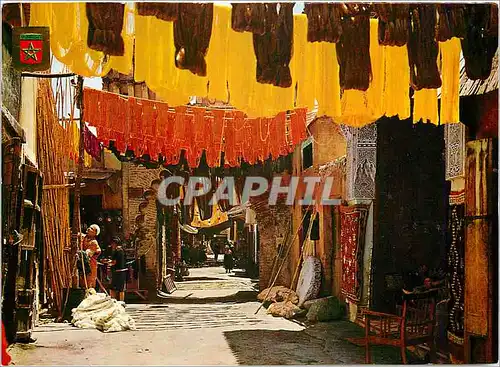 Cartes postales moderne Marrakech teituriers