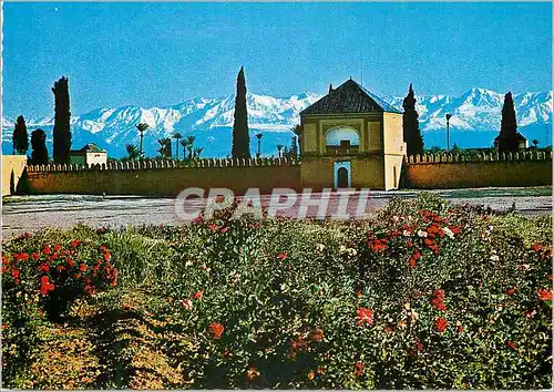 Cartes postales moderne Marrakech les jardins de l'aguedal