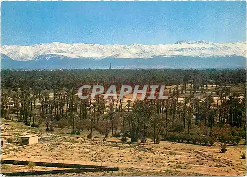 Cartes postales moderne Marrakech palmeraie et grand atlas
