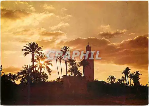 Moderne Karte Marrakech mosquee hassan II et palmeraie au coucher de soleil