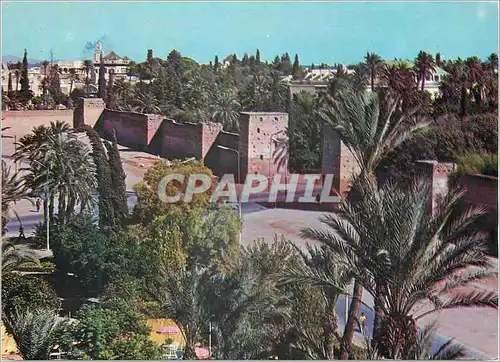 Cartes postales moderne Marrakech bab n'koub et la municipalite