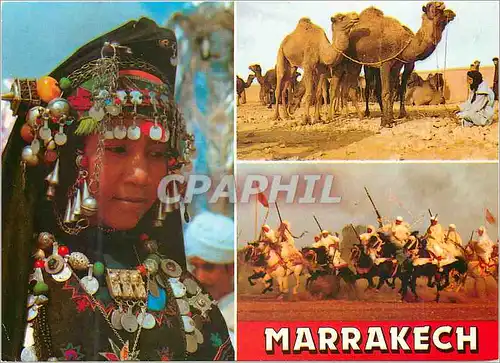 Moderne Karte Maroc typique femme du sud les chameaux la fantazia