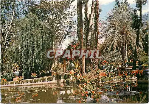 Moderne Karte Marrakech Jardin exotique du peintre Majorelle