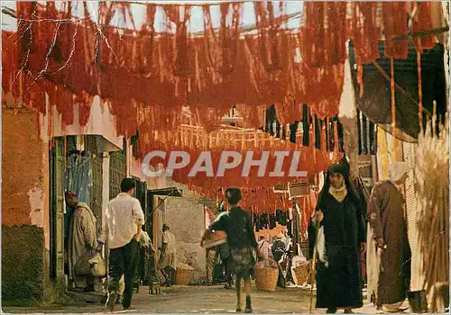 Cartes postales moderne Marrakech Le Souk des Teinturiers