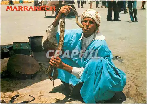 Cartes postales moderne Marrakech Snake charmer