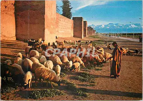 Cartes postales moderne Marrakech Les Remparts