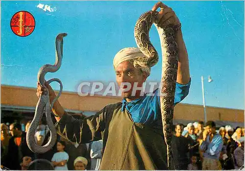 Cartes postales moderne Marrakech Charmeur de serpents a Place Djemaa El Fna