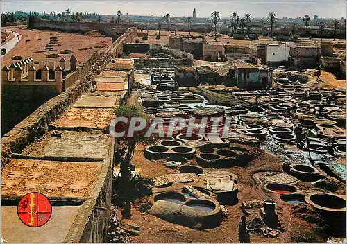 Cartes postales moderne Marrakech Les Tanneurs