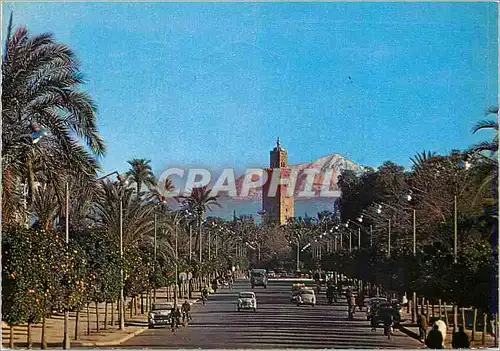 Cartes postales moderne Marrakech Ave Mohammed V avec Koutoubia
