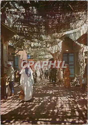 Cartes postales moderne Marrakech Dans les Souks