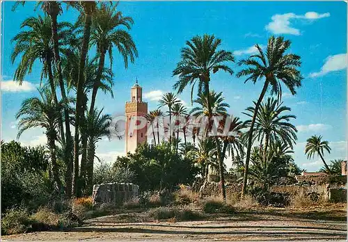 Cartes postales moderne Marrakech Gueliz La Mosquee Hassan IIe